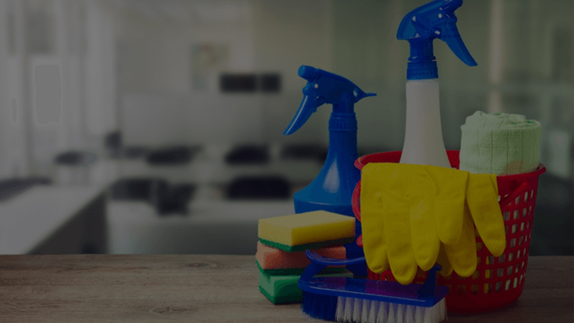 Cleaning & Sanitation Services